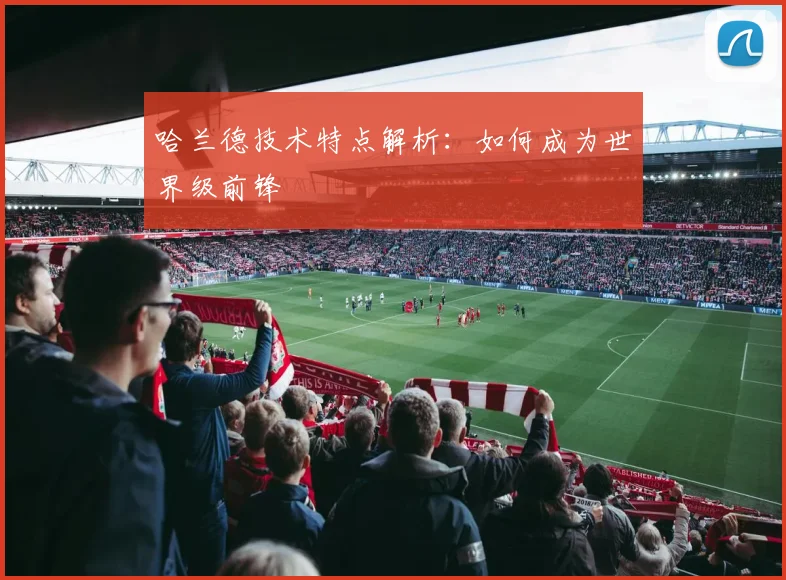 哈兰德技术特点解析：如何成为世界级前锋