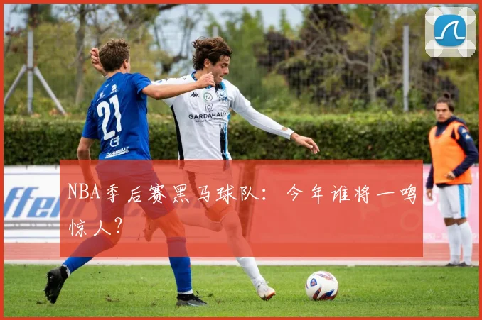 NBA季后赛黑马球队：今年谁将一鸣惊人？